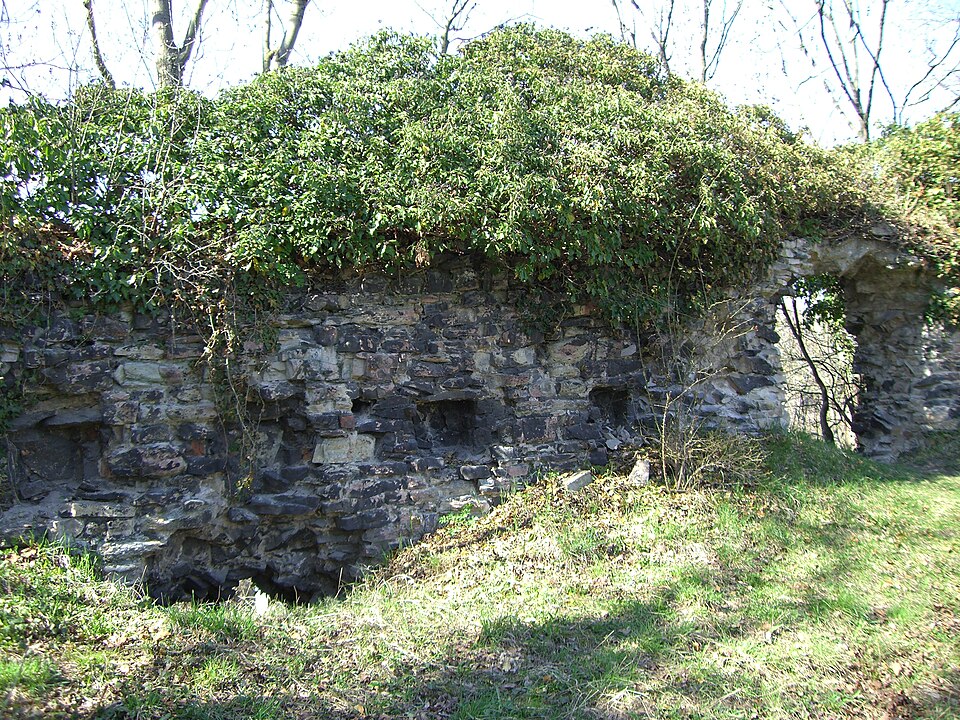 Burg Dohna